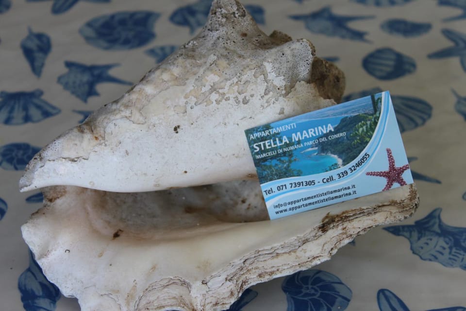 Appartamento Stella Marina Apartment in Marcelli