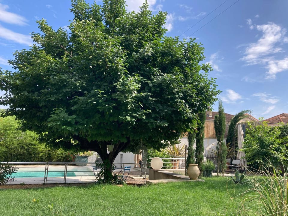 Garden, Garden view, Pool view, Swimming pool