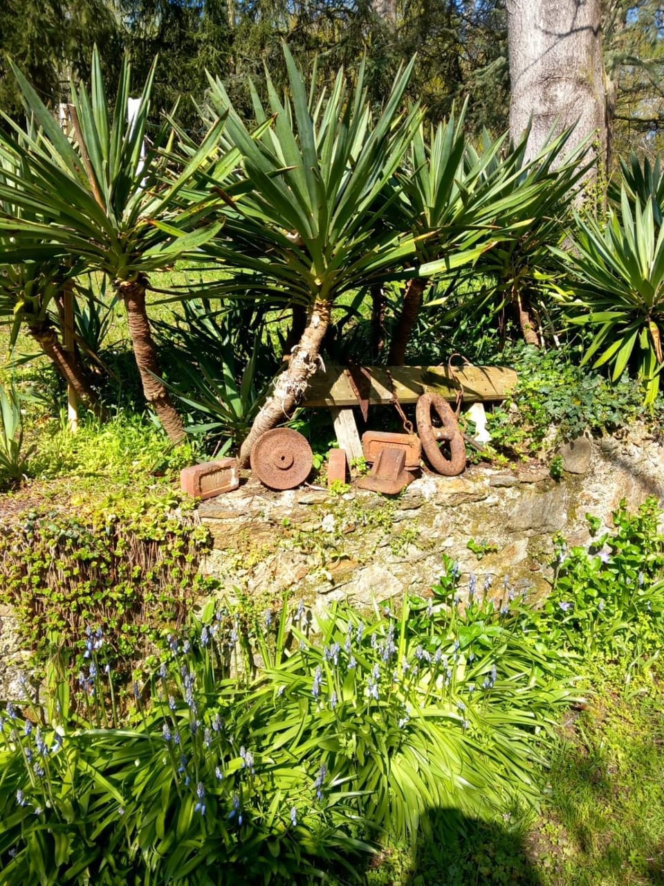Natural landscape, Garden