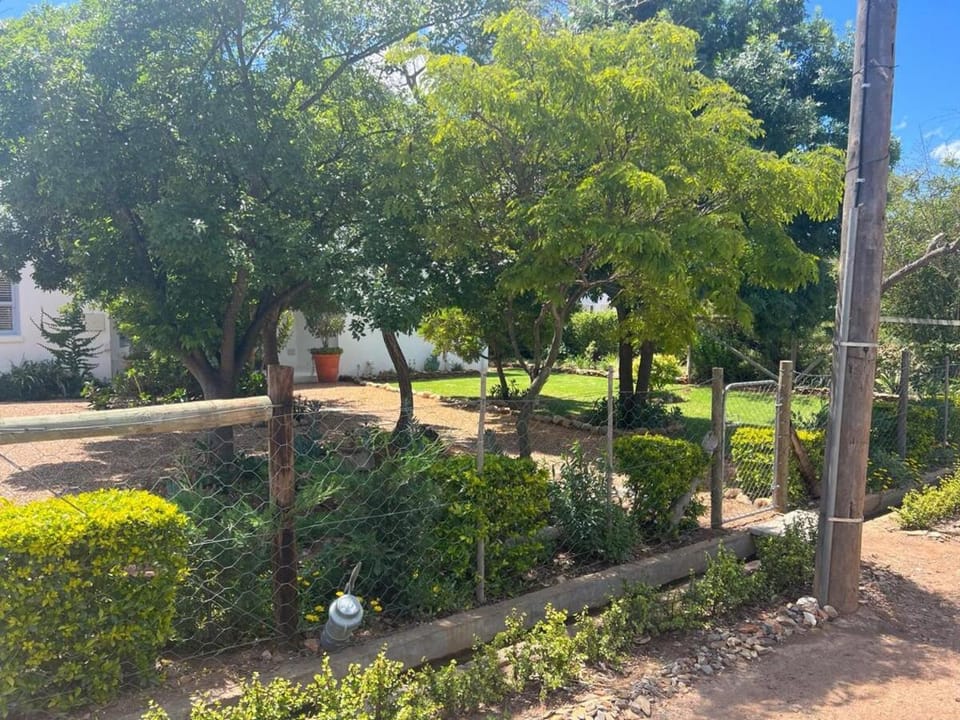 Tree House House in Western Cape