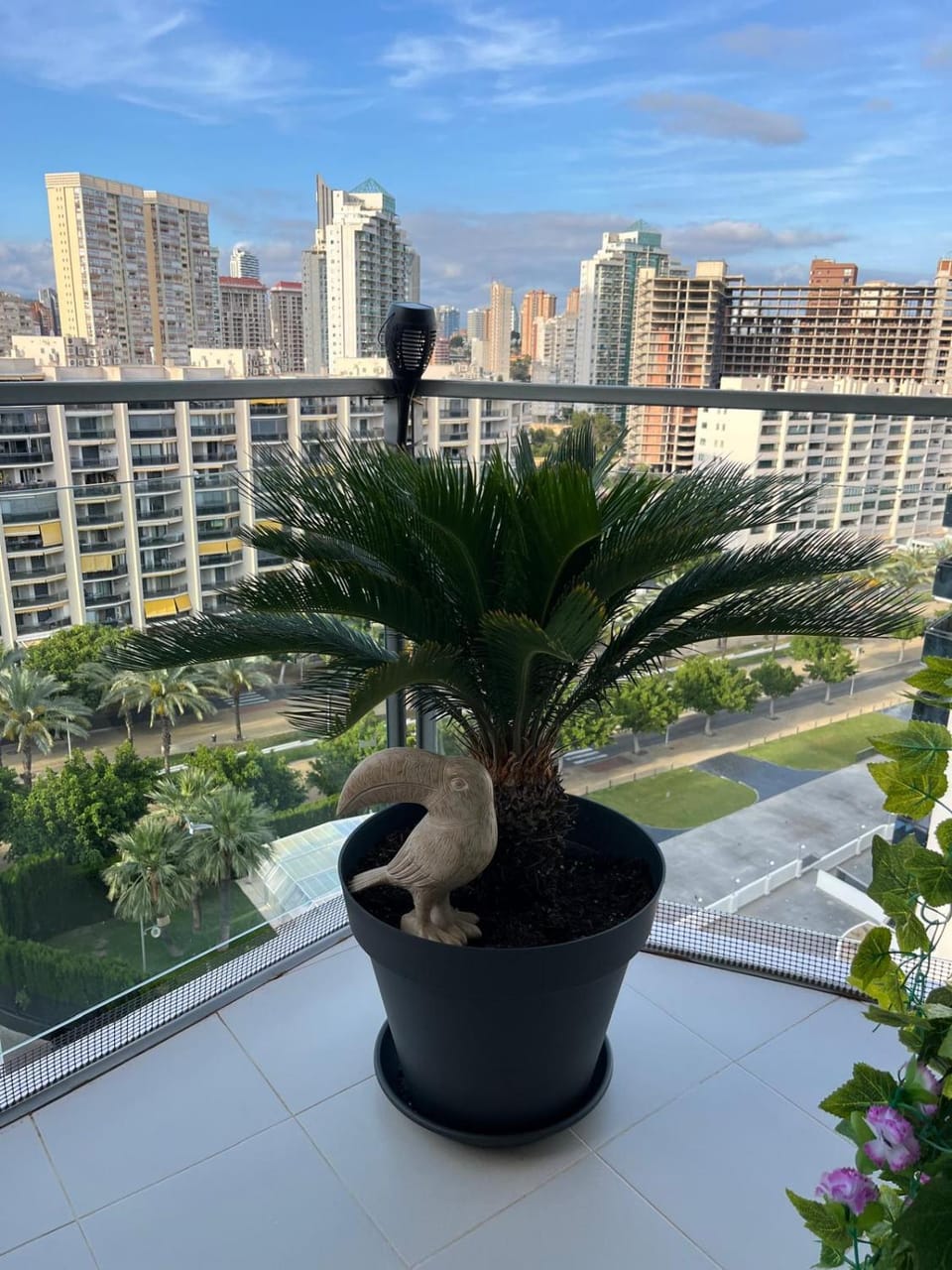 Aloha Benidorm Apartment in Marina Baixa