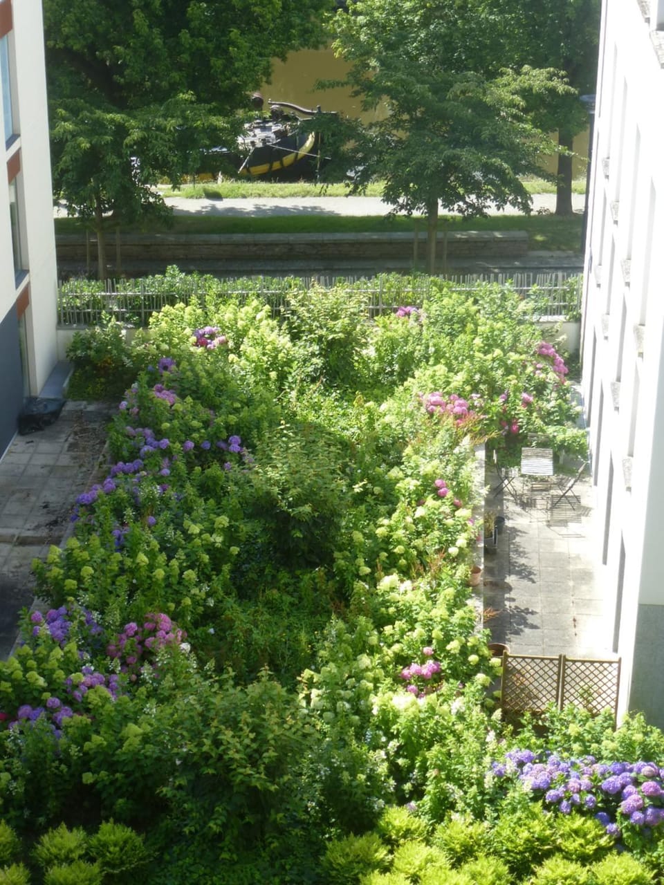 Garden view