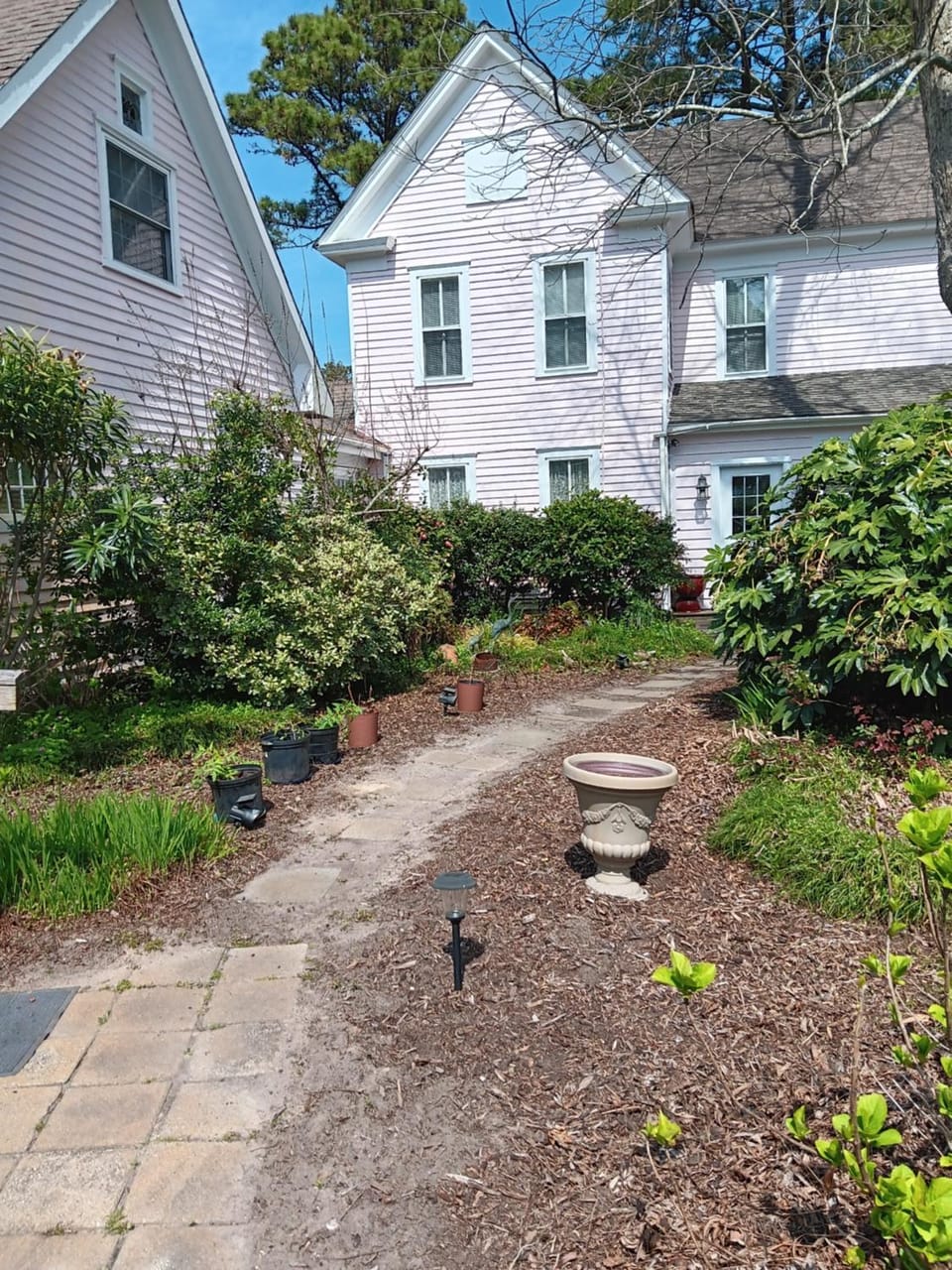 Garden view