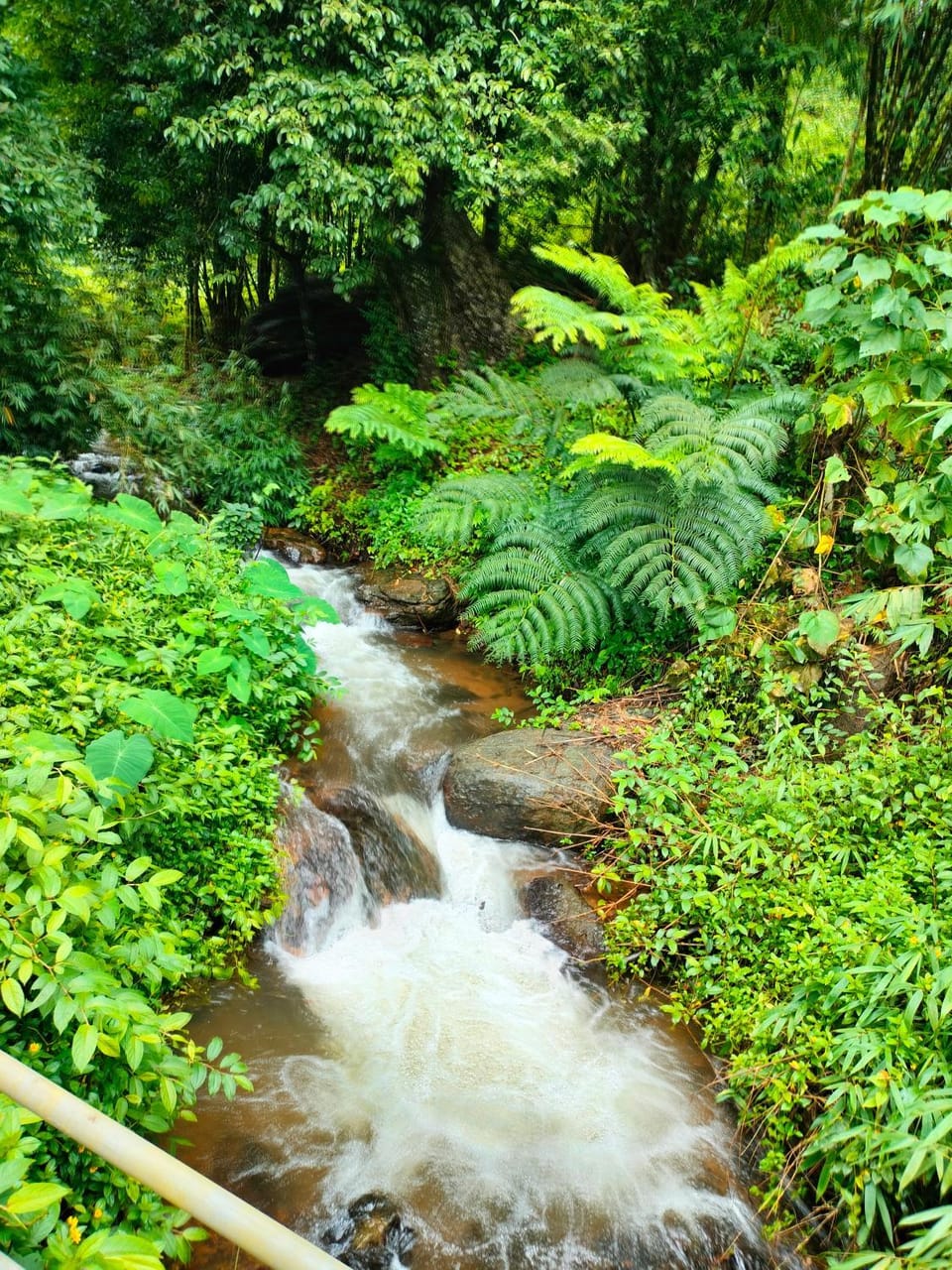Coorg Silent Stay Villa in Karnataka
