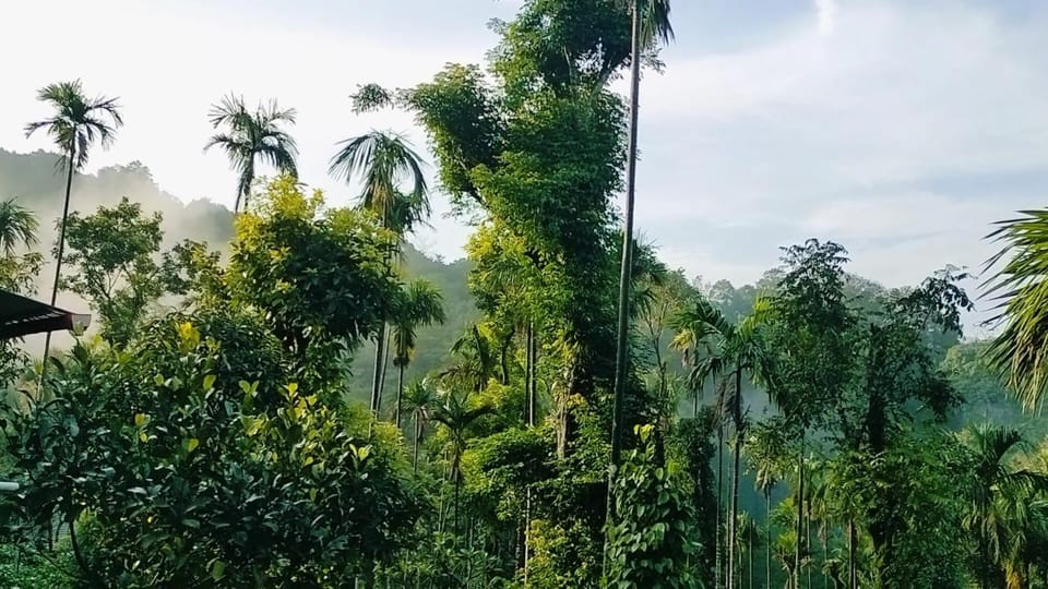 Coorg Silent Stay Villa in Karnataka