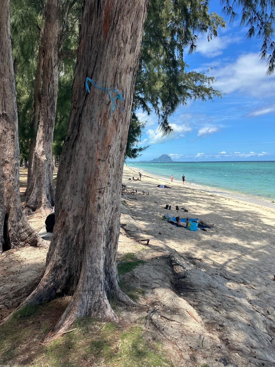 Natural landscape, Beach, Sea view