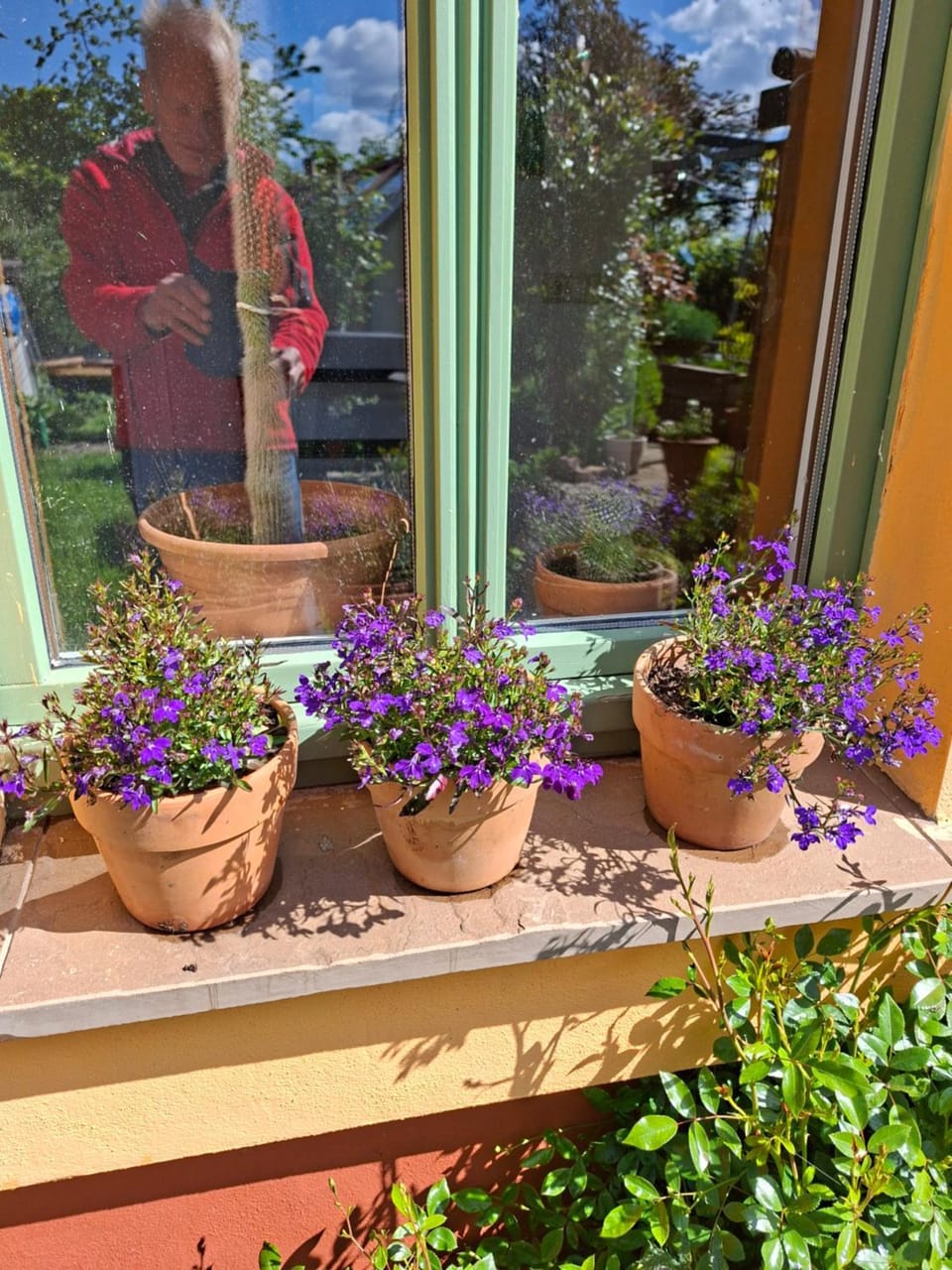 Villa Martha Vacation rental in Dresden