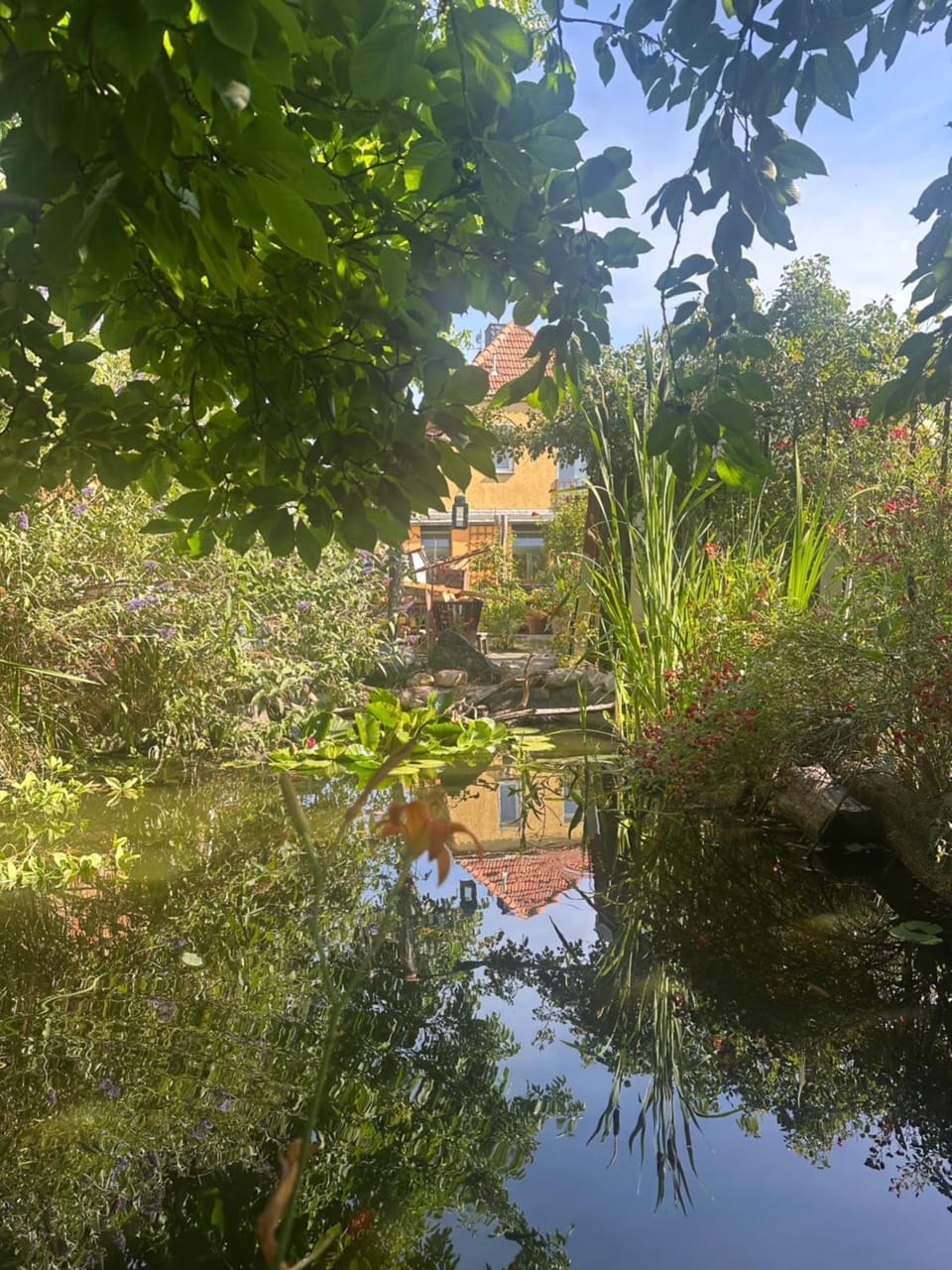 Villa Martha Vacation rental in Dresden