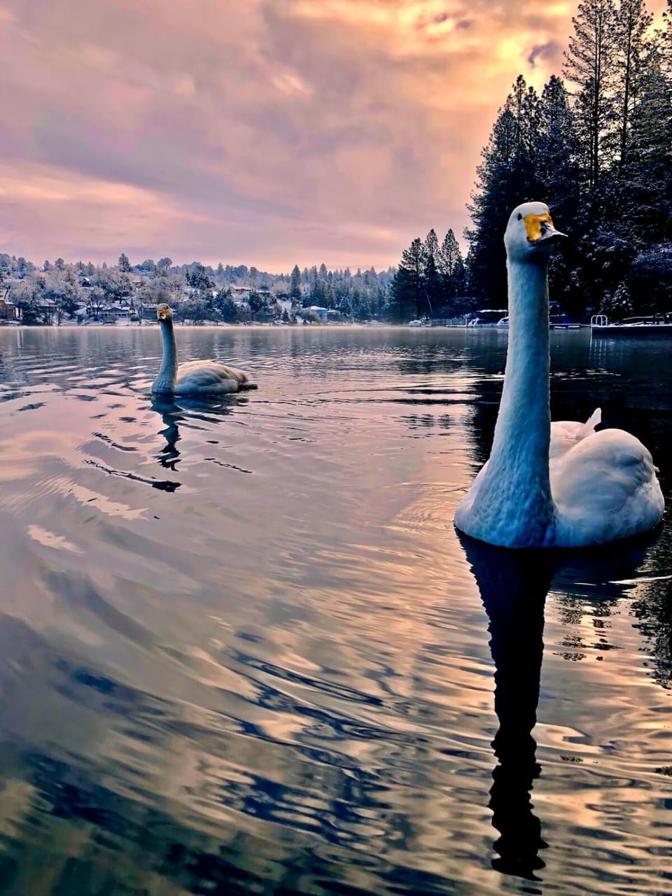 Lake Front-Near Yosemite-Pool Table-Private Dock -PML House in Groveland