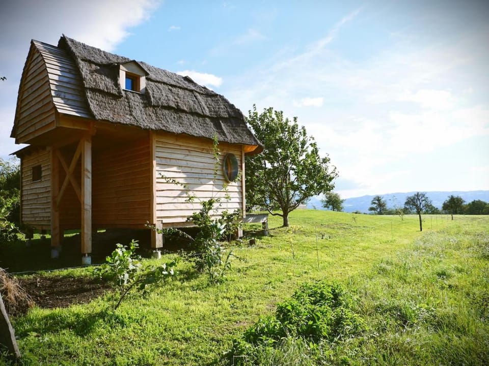 Property building, Natural landscape, Garden, Garden view