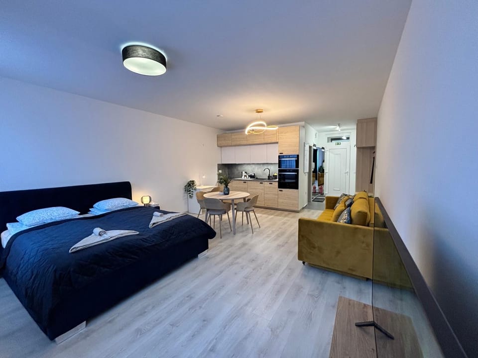 Bed, TV and multimedia, Kitchen or kitchenette, Living room, Photo of the whole room, Seating area, Bedroom