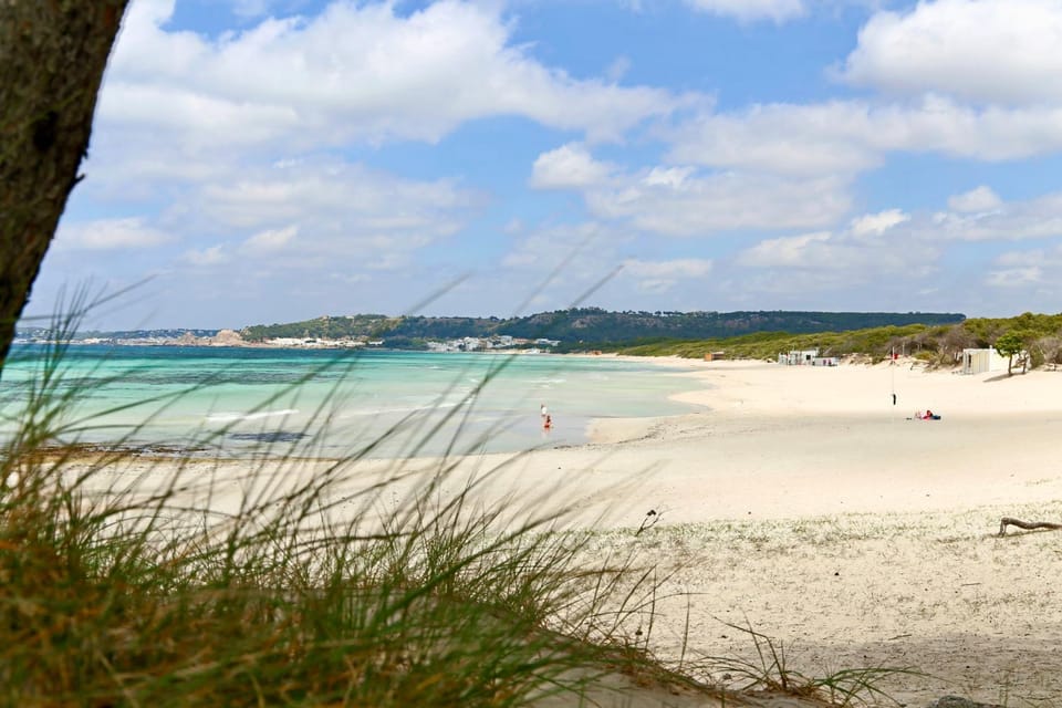 Beach, Beach