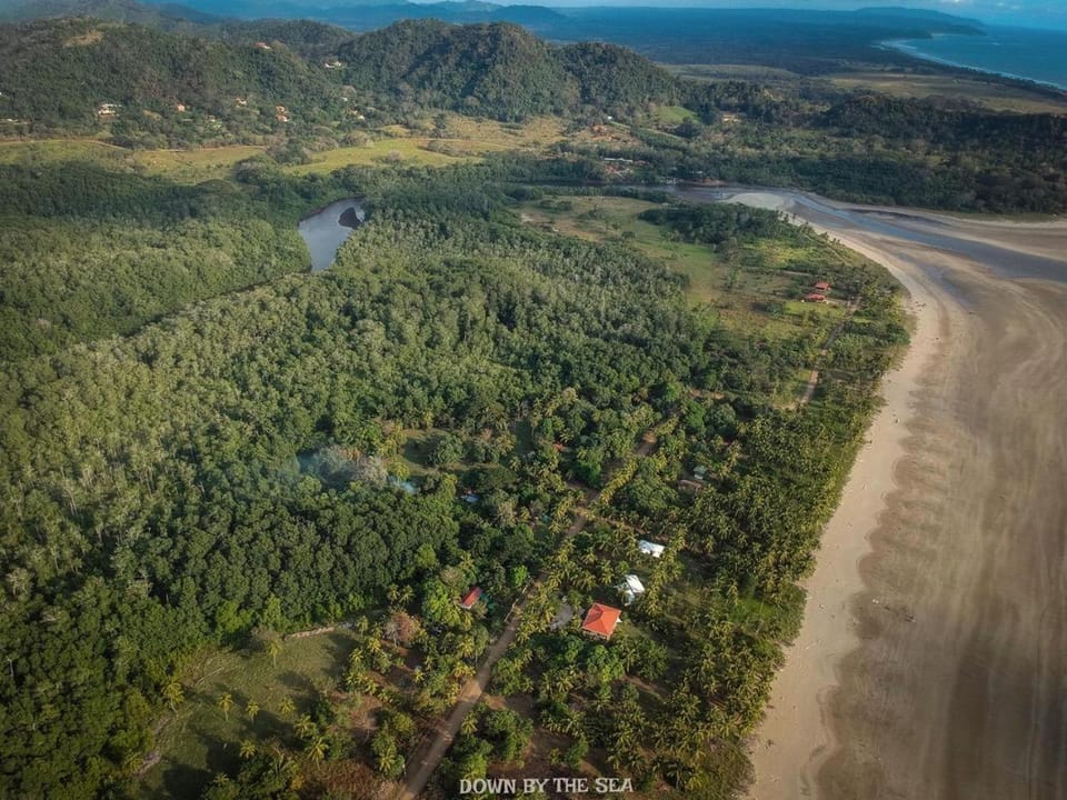 Neighbourhood, Natural landscape, Activities, Bird's eye view, Beach