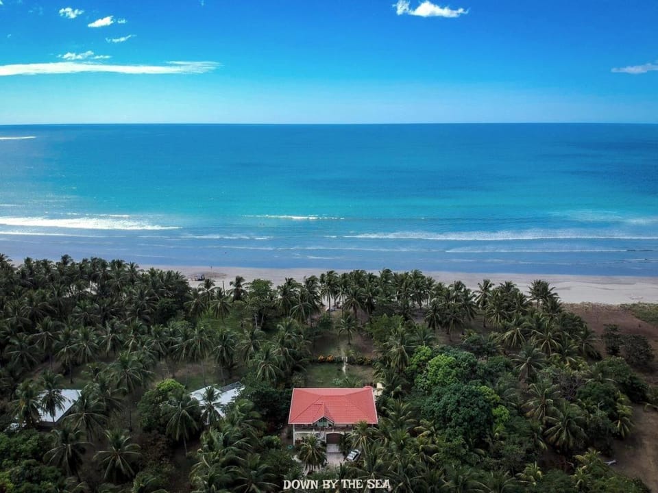Facade/entrance, Bird's eye view, Garden, Beach