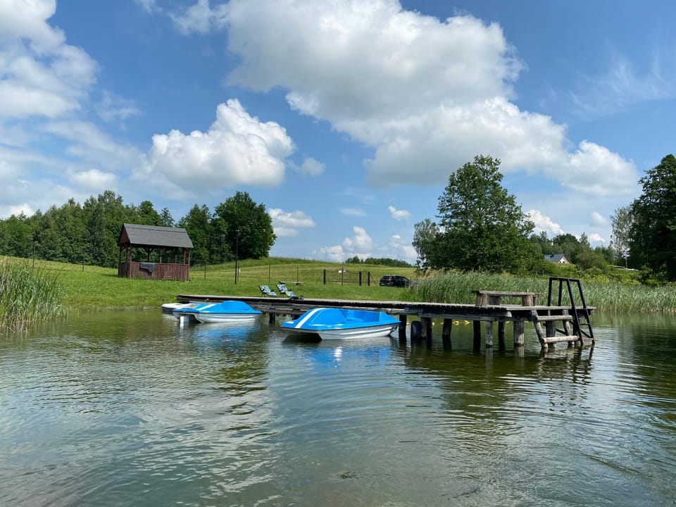 Domek wakacyjny House in Lithuania