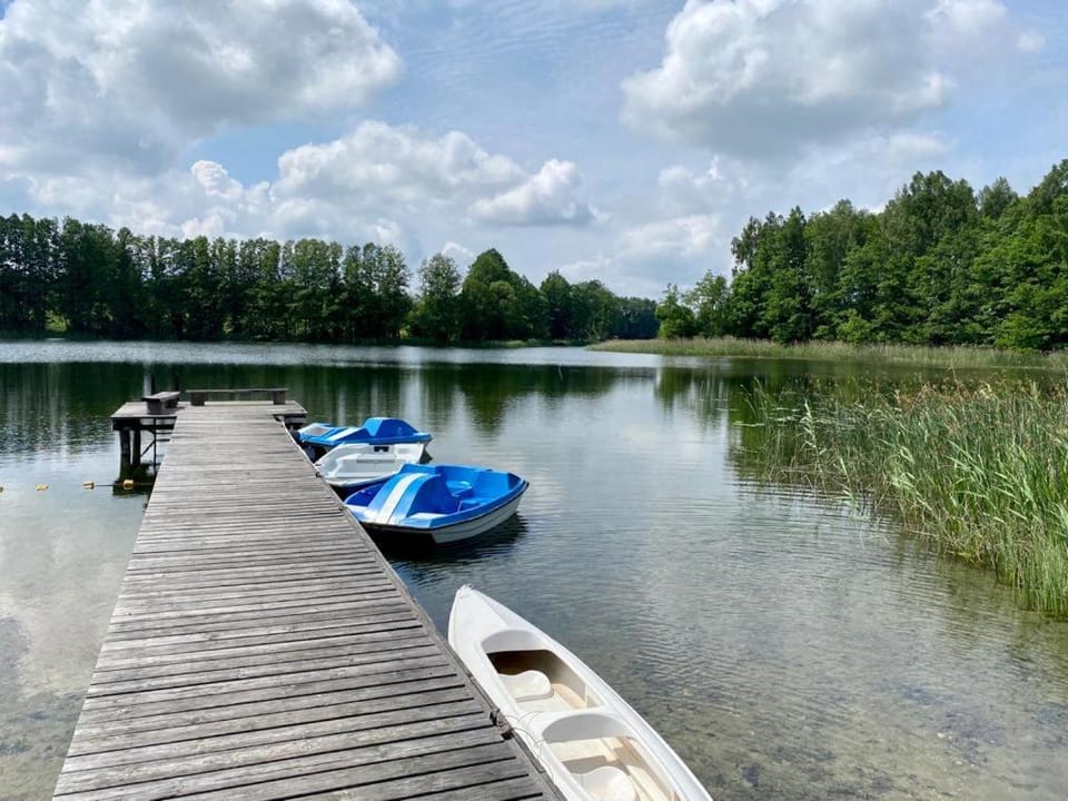 Domek wakacyjny House in Lithuania