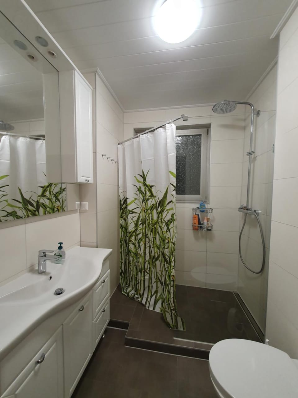 Shower, Toilet, Bathroom, hair dryier, soundproof, towels, towels