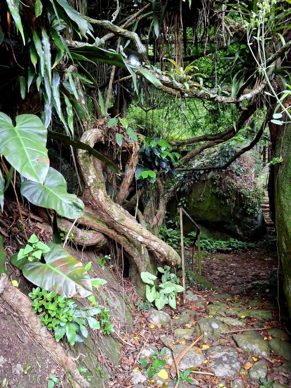 Casa Jardim Cachoeira Privativa no Cascatinha Apartment in Nova Friburgo