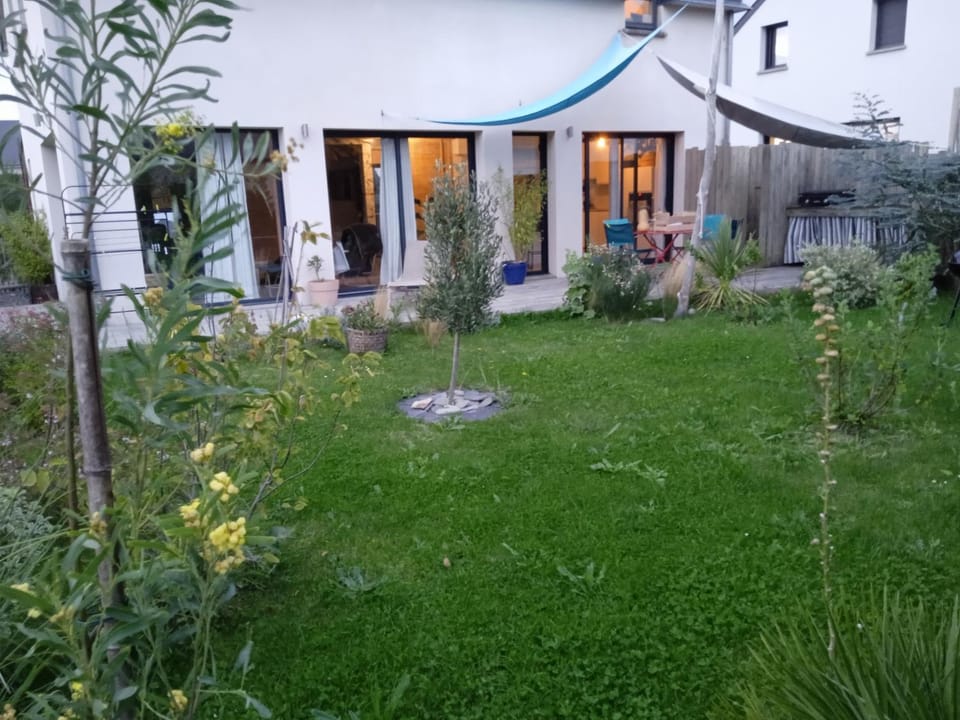 Patio, Garden view