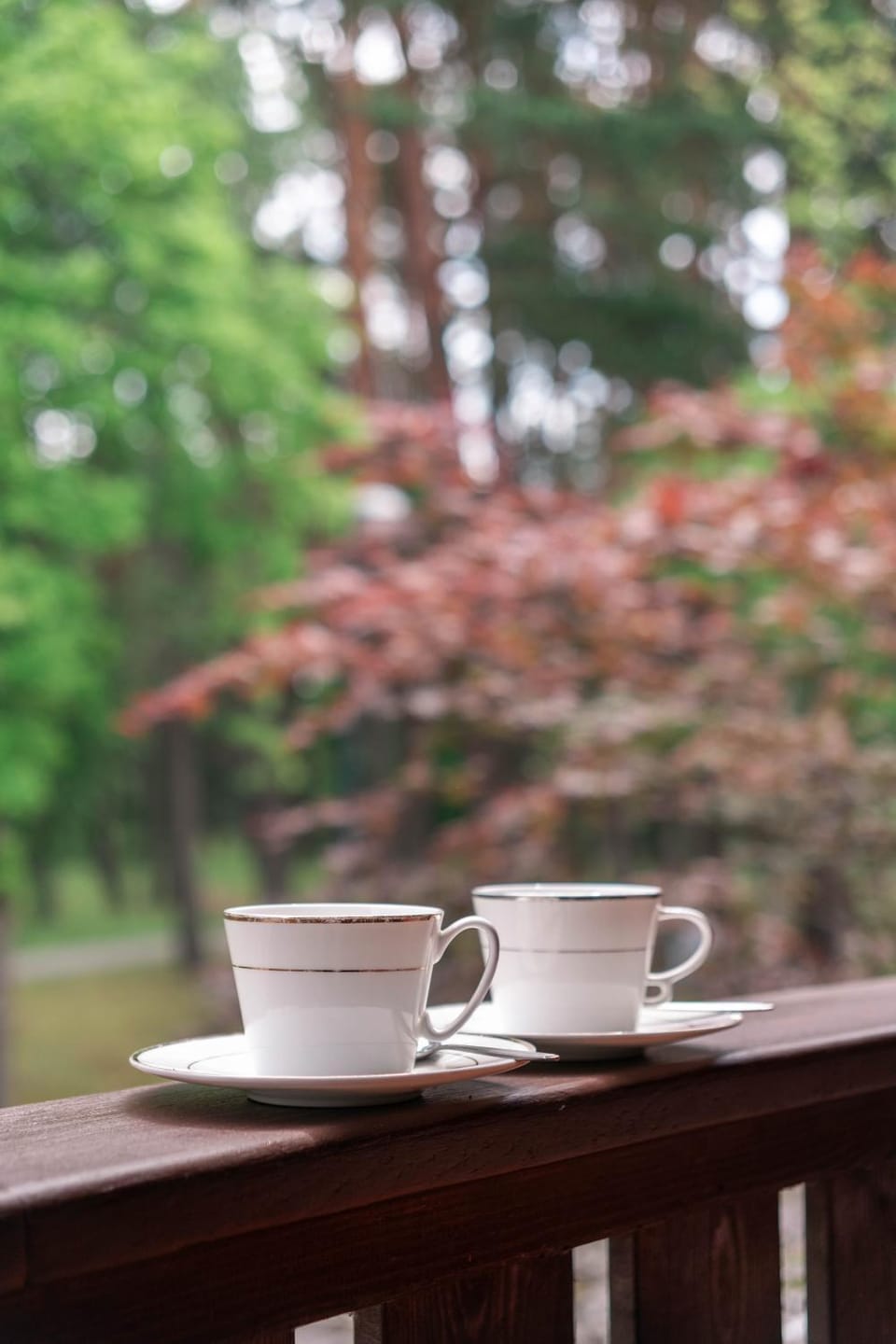 Day, Coffee/tea facilities, View (from property/room), Decorative detail