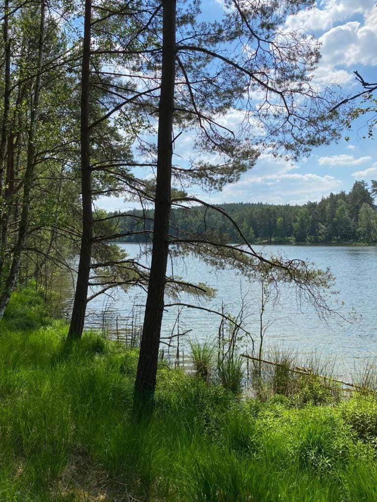 Lake view