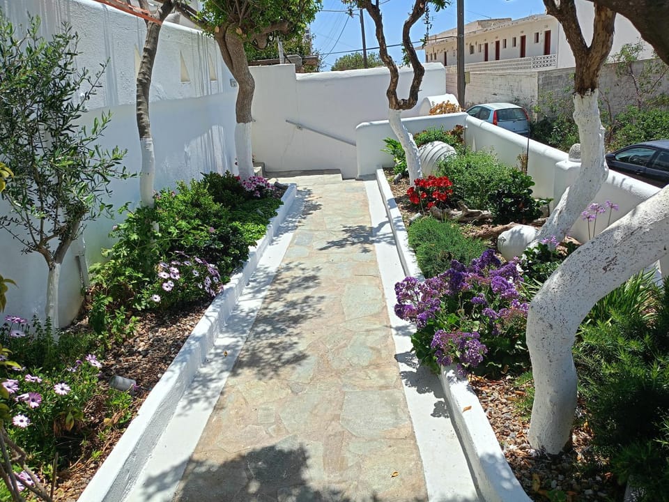 Neighbourhood, Garden