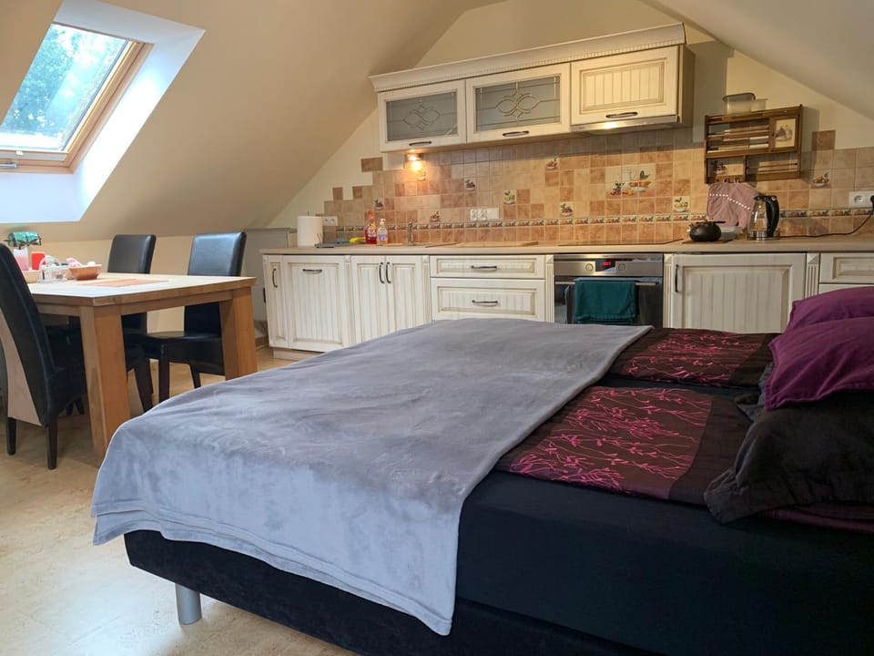 Studio z kominkiem Sauna Jacuzzi Hydromasaż Apartment in Czechia