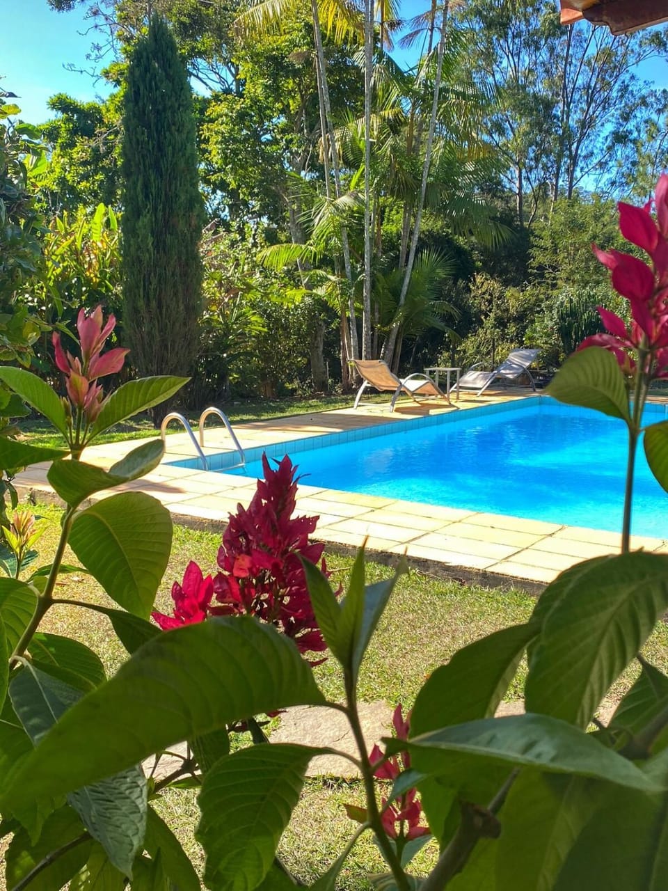 Casas 501 -Casa verde e Casinha House in State of Rio de Janeiro