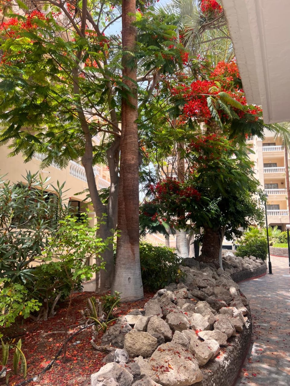 Garden, Garden view