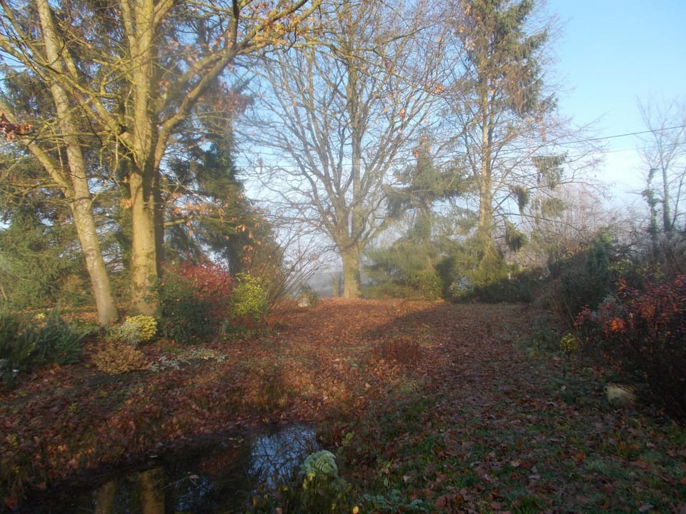 Natural landscape, Other