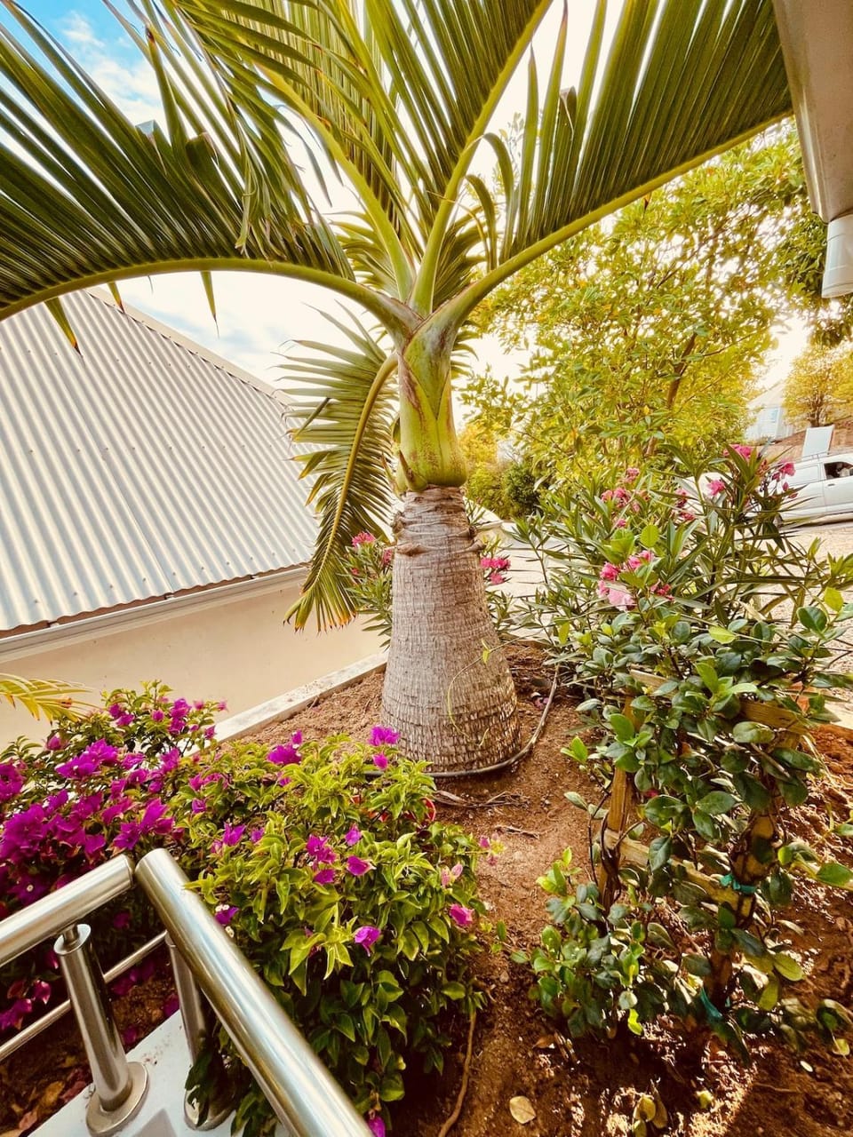 Villa Ti Pop - Corossol House in Saint Barthélemy