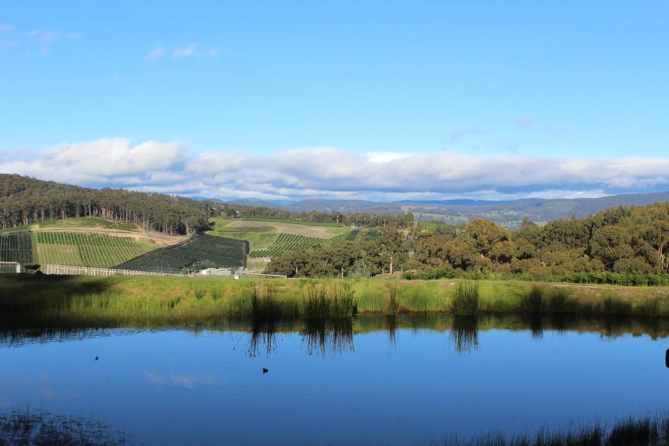 Garden, Garden view, Landmark view
