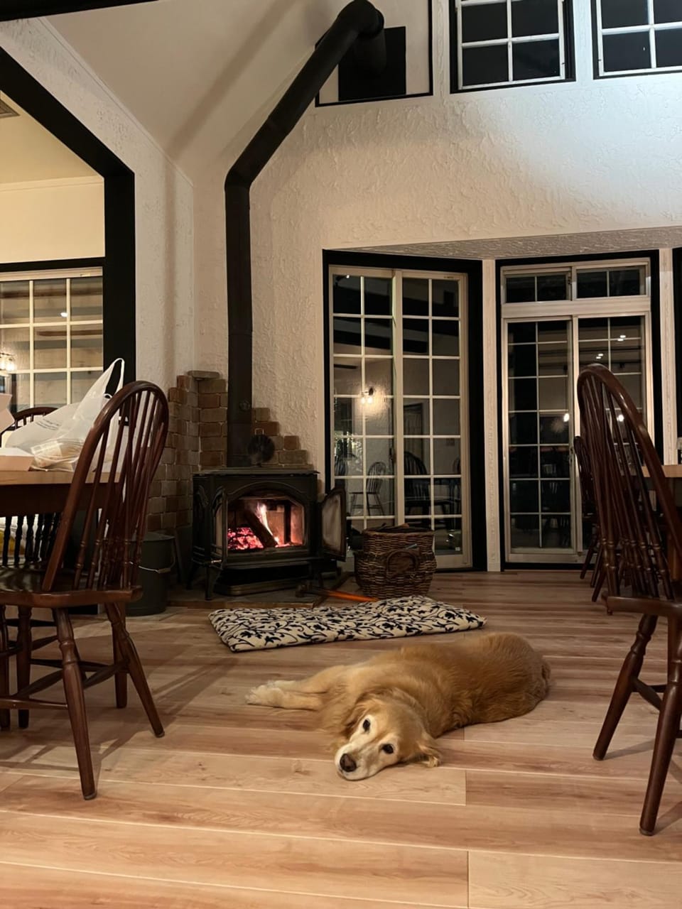 Pets, fireplace