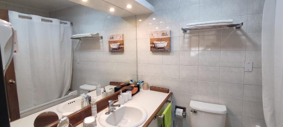 Shower, Toilet, Bathroom, Bath, towels