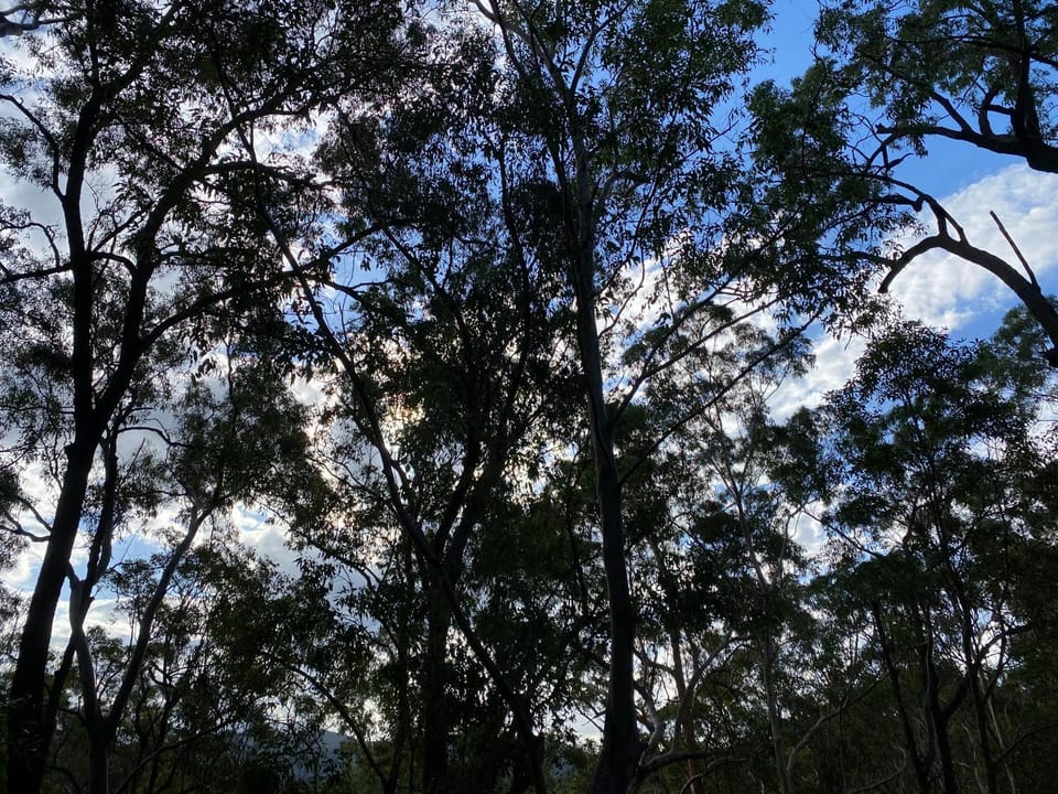 Natural landscape