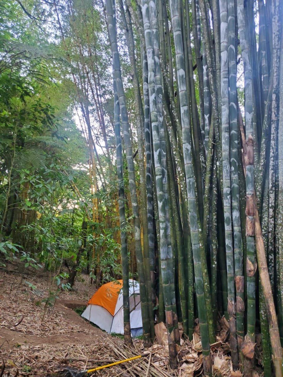 Campamento equipado de bosque Luxury tent in Cuetzalan