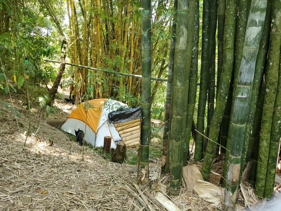 Campamento equipado de bosque Luxury tent in Cuetzalan