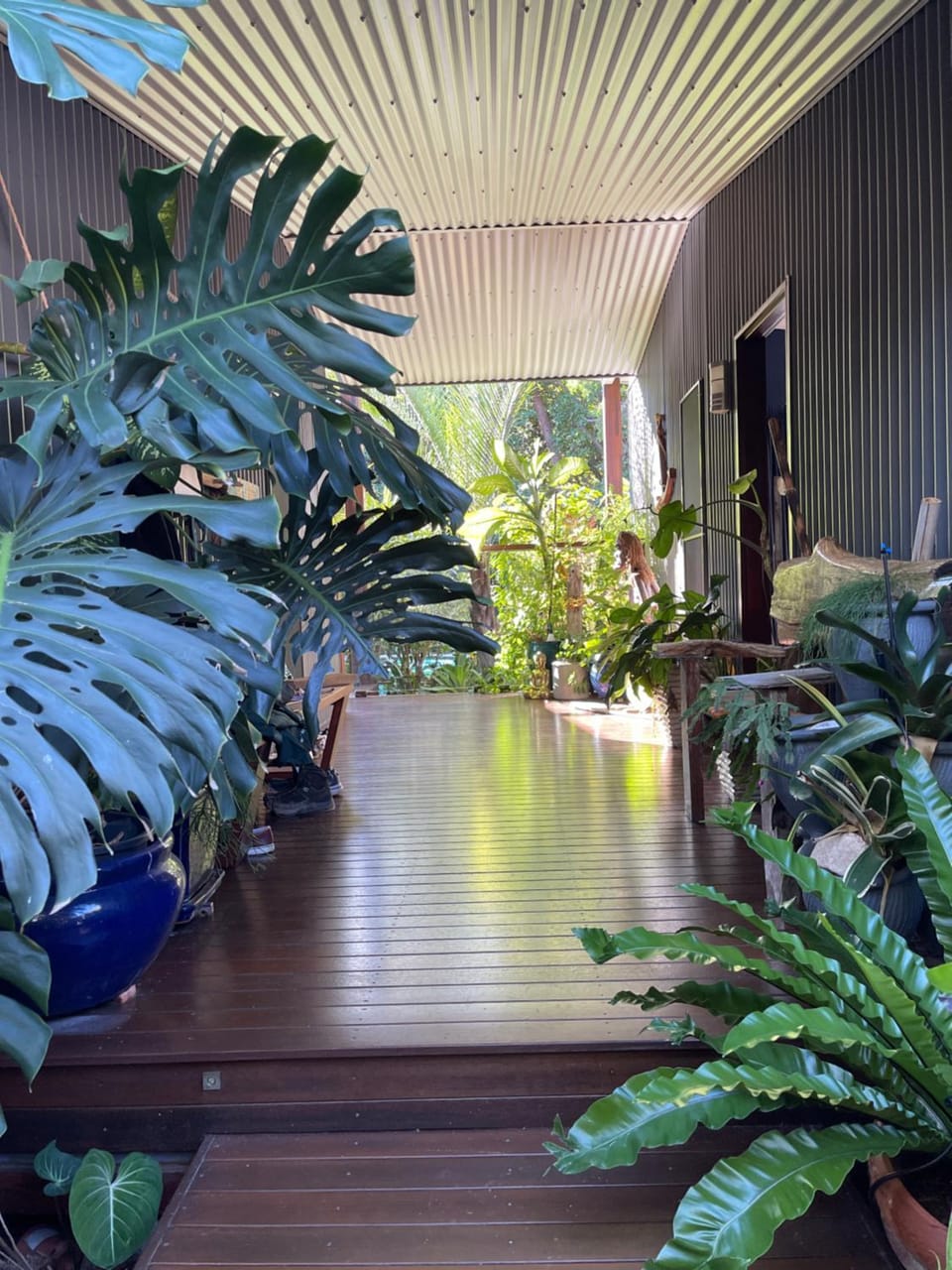 Garden view