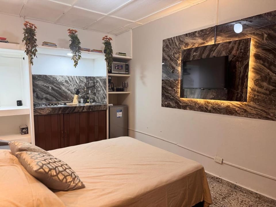 Bed, TV and multimedia, Kitchen or kitchenette, Photo of the whole room, Bedroom