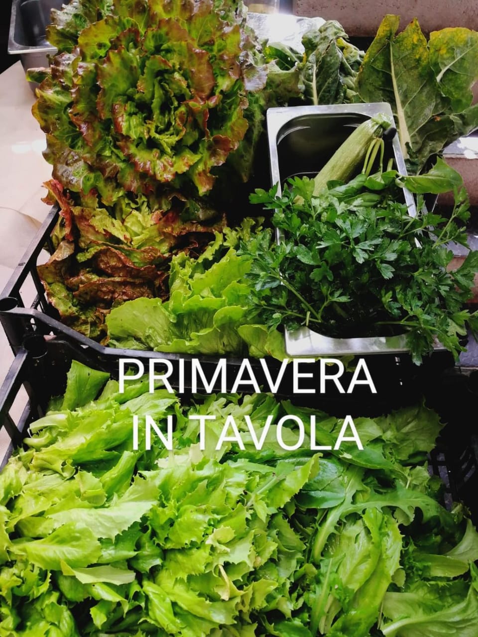 Restaurant/places to eat, Garden, Food and drinks, Food, Garden view