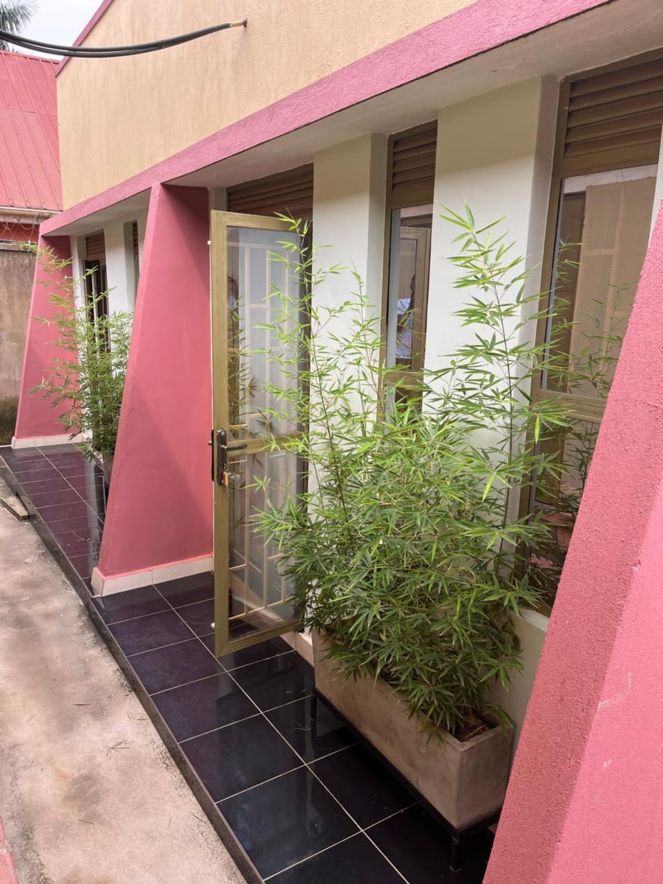 Property building, Day, Garden view