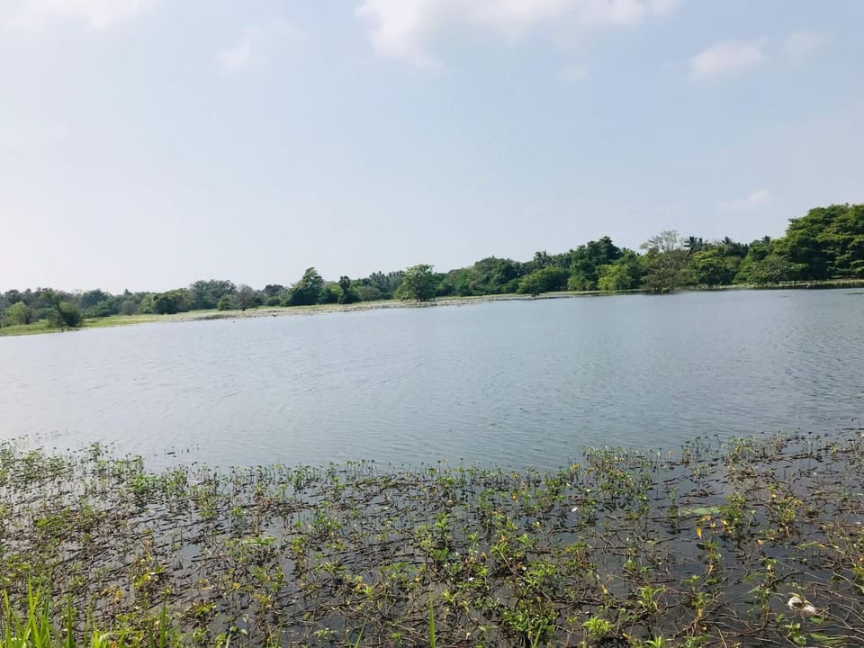 Wauthaulla Homestay Vacation rental in Sri Lanka