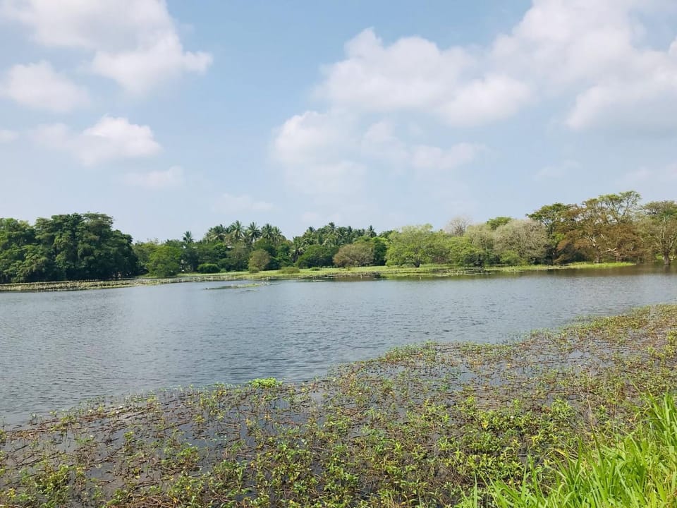 Wauthaulla Homestay Vacation rental in Sri Lanka