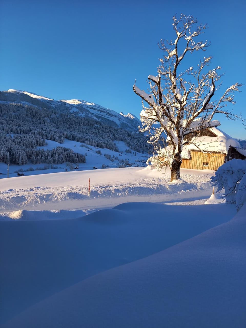 Wenk Elisabeth Bed and Breakfast in St. Gallen, Switzerland