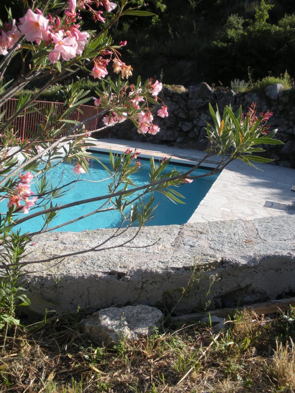Swimming pool, Swimming pool