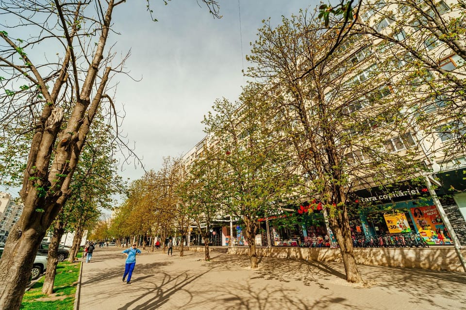 Day, Neighbourhood, Natural landscape, Location