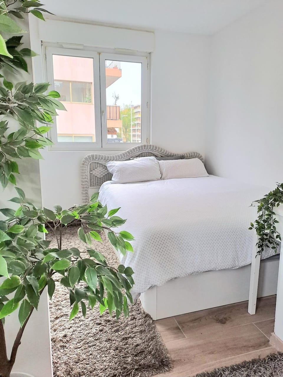 Bed, Photo of the whole room