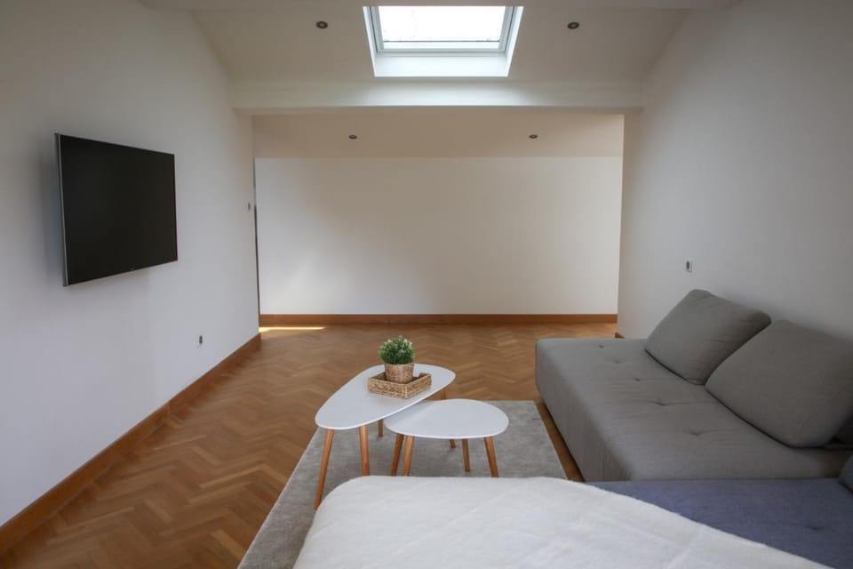 Spacious apartment of 90 m2 in Toulouse Apartment in Toulouse