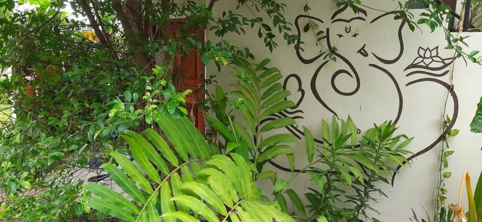 Day, Natural landscape, Garden view