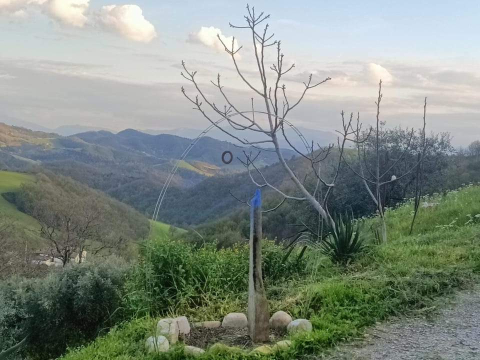 B&b da Elena e Davide Bed and Breakfast in Marche